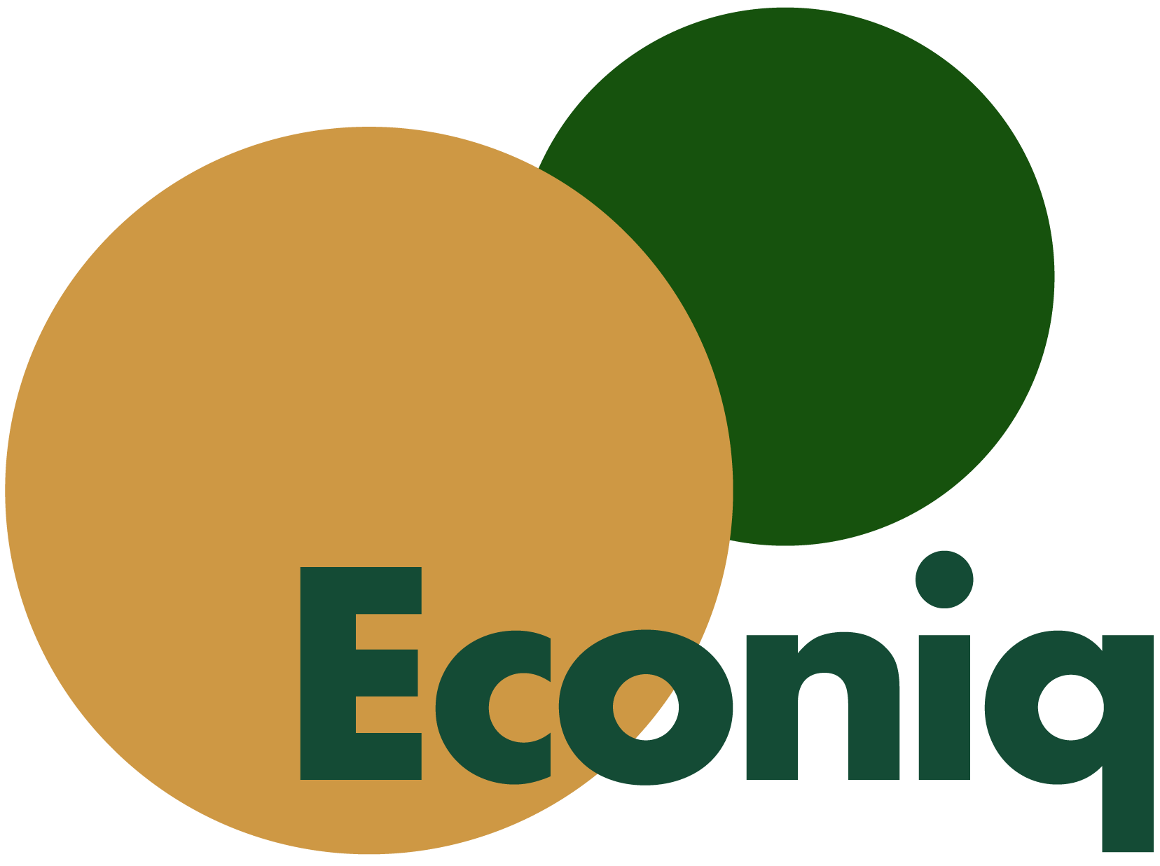 Econiq Project