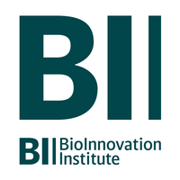 BII — British International Investment